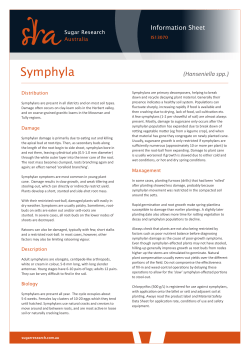 Symphyla - Sugar Research Australia