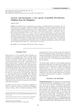 Upeneus nigromarginatus, a new species of goatfish (Perciformes