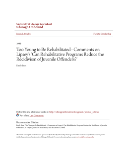 Too Young to Be Rehabilitated - Comments on Lipsey`s