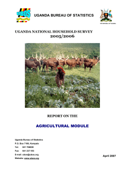 Agriculture Report