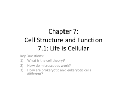 Chapter 7: Cell Structure and Function 7.1: Life is Cellular