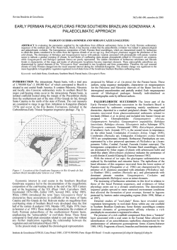 early permian palaeofloras from southern brazilian