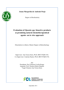 Evaluation of Opuntia spp. bioactive products as promising