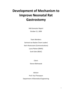 Neonatal Rat Gastrostomy mid semester Report