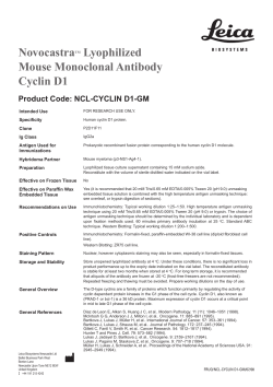 NovocastraTM Lyophilized Mouse Monoclonal Antibody Cyclin D1