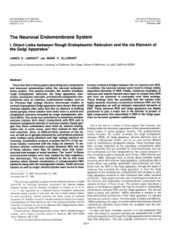 The Neuronal Endomembrane System