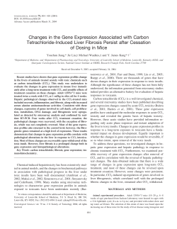 Changes in the Gene Expression Associated with Carbon