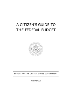 A Citizen`s Guide to the Federal Budget