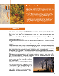 North American forests