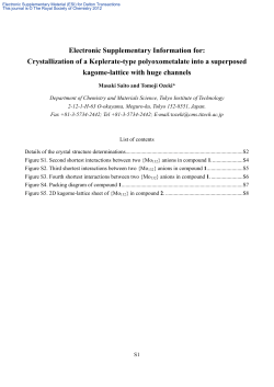 Electronic Supplementary Information for