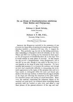 On an Ovum of Ornithorhynchus exhibiting Polar Bodies and