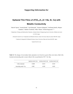 Supporting Information for