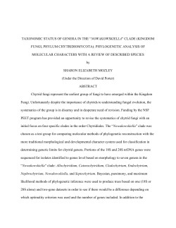 taxonomic status of genera in the &ldquo;nowakowskiella&rdquo;