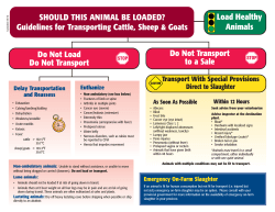 SHOULD THIS ANIMAL BE LOADED? Guidelines for Transporting