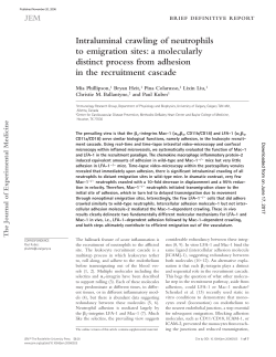 Intraluminal crawling of neutrophils to emigration sites: a