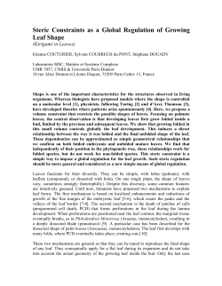 Steric Constraints as a Global Regulation of