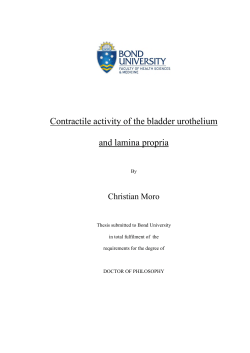 Contractile Activity of the Bladder Urothelium and Lamina Propria