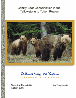GRIZZLY BEAR CONSERVATION IN THE YELLOWSTONE TO