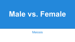 Meiosis