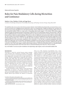 Roles for Pain Modulatory Cells during Micturition and Continence