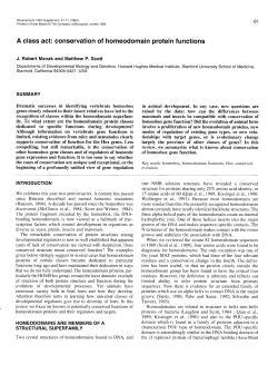A class act: conservation of homeodomain protein