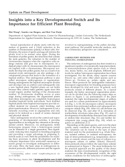 Insights into a Key Developmental Switch and Its