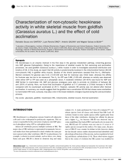 Characterization of non-cytosolic hexokinase activity in white