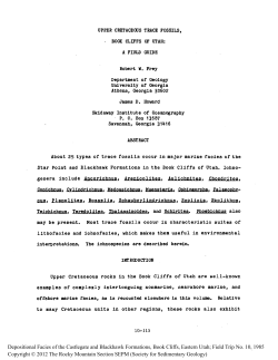 Upper Cretaceous Trace Fossils, Book Cliffs of Utah: A Field Guide