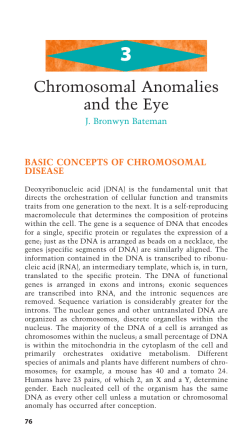 Chromosomal Anomalies and the Eye