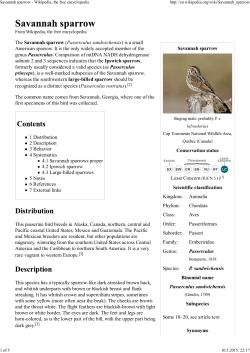 Savannah sparrow - Wikipedia, the free encyclopedia