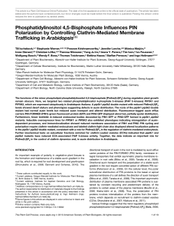 Phosphatidylinositol 4,5-Bisphosphate Influences