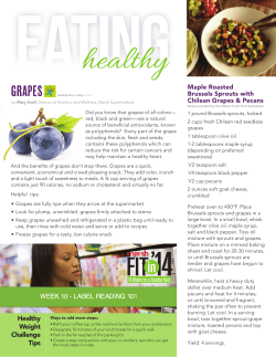 Healthy Weight Challenge Tips