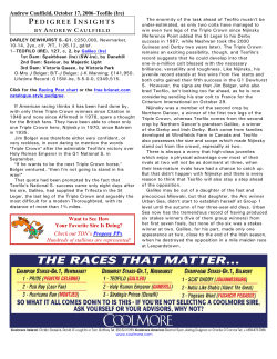 Teofilo (Ire) - Thoroughbred Daily News