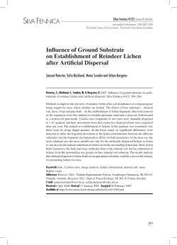 Influence of ground substrate on establishment of reindeer lichen