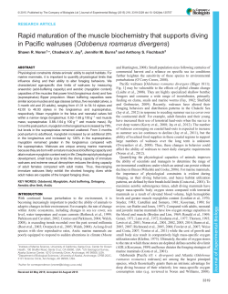 Rapid maturation of the muscle biochemistry that supports diving in