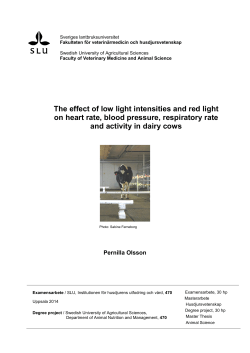 The effect of low light intensities and red light on heart rate