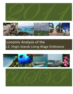 Economic Analysis of the - VI Bureau of Economic Research