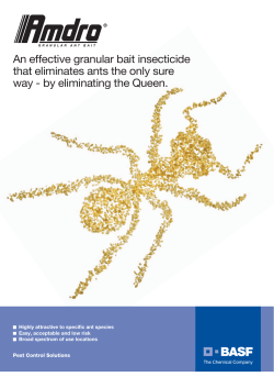 An effective granular bait insecticide that eliminates ants the only