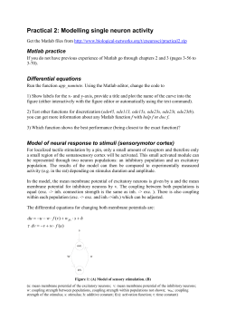 Practical - Dynamic Connectome Lab