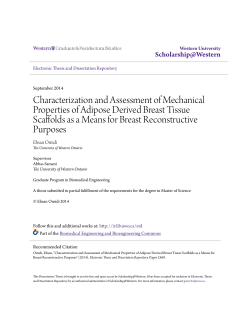 Characterization and Assessment of Mechanical Properties of