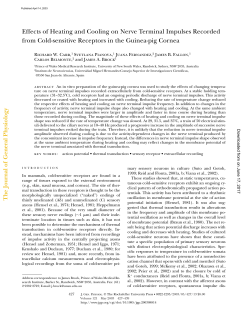 Effects of Heating and Cooling on Nerve Terminal Impulses