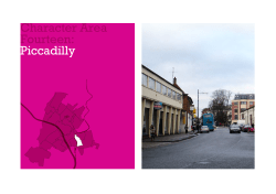 Character Area Fourteen: Piccadilly
