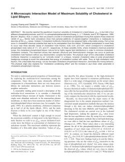 A Microscopic Interaction Model of Maximum