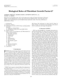 Biological Roles of Fibroblast Growth Factor-2*