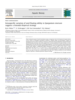 Intraspecific variation of seed floating ability in Sparganium