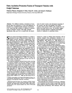 Fatty Acylation Promotes Fusion of Transport Vesicles with Golgi