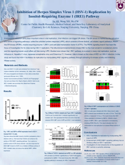 Inhibition of Herpes Simplex Virus 1 (HSV