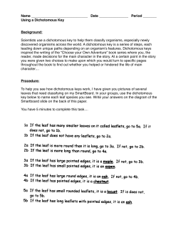 Dichotomous Key Handout