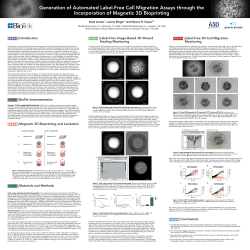 Generation of Automated Label-Free Cell Migration Assays through