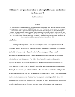Evidence for low genetic variation in interrupted fern, and